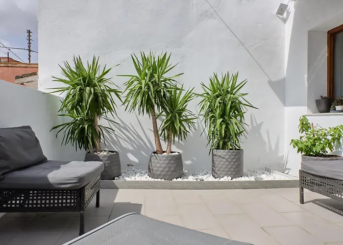 Atico Acogedor Con Amplia Terraza Plaza Del Carmen